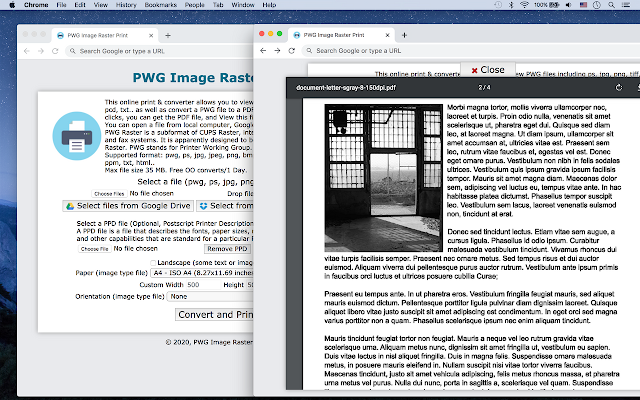Screenshot of PWG Image Raster Print
